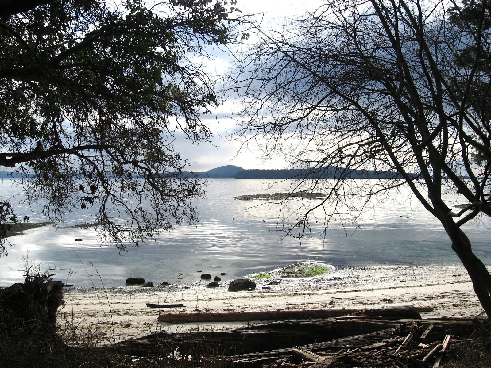 ShawniganLake-IMG_4016