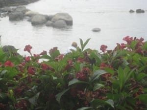 IMG_1354